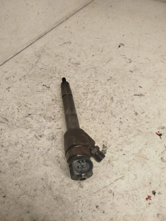 Fuel injector 7810782
