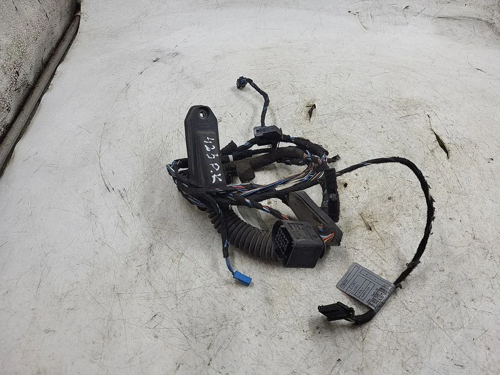 Front door wiring loom 6938210