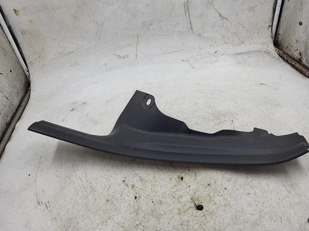 Rear sill trim cover 11242010