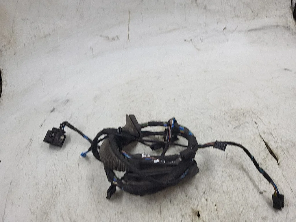 Front door wiring loom 6938218