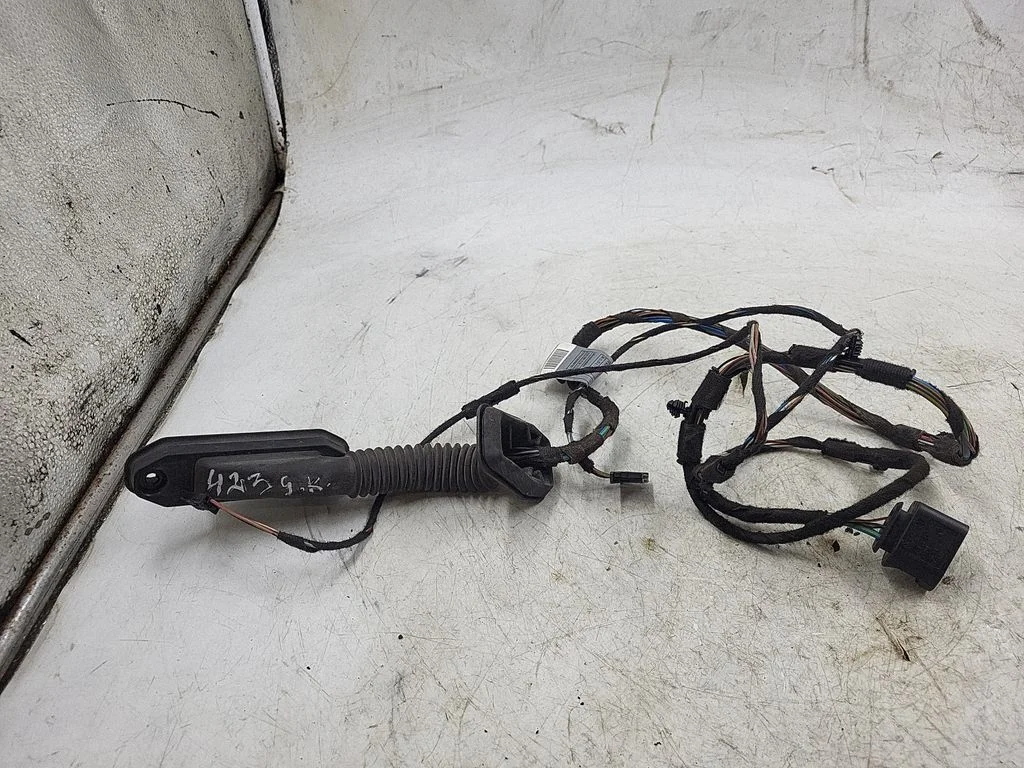 Rear door wiring loom 11107811