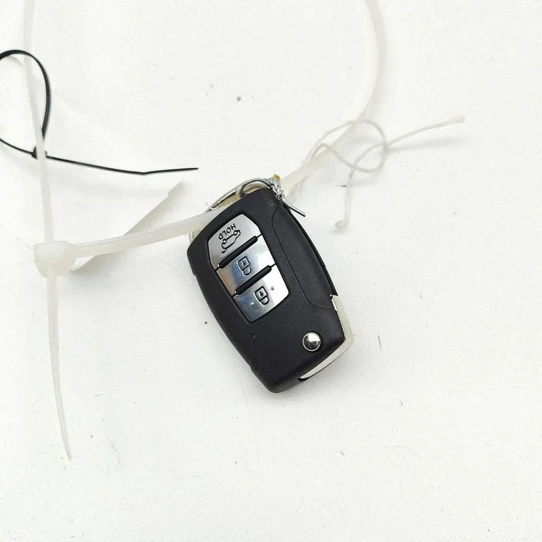 Ignition key/card 8751041550