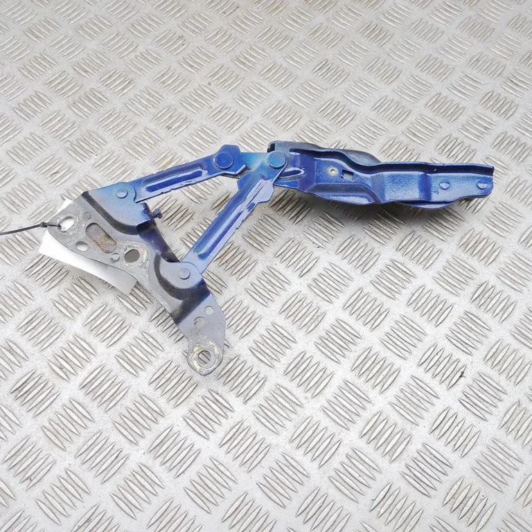 Engine bonnet/hood hinges 100962199L