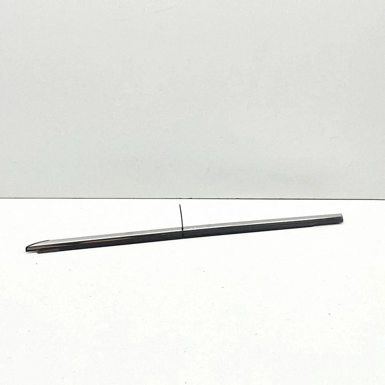 Rear door glass trim molding 7321541000