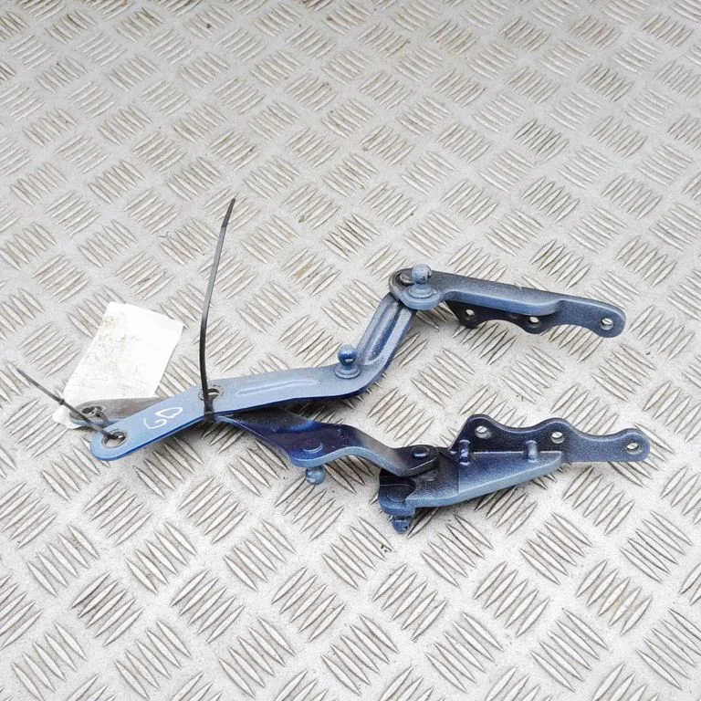 Rear door hinge set 103793400L