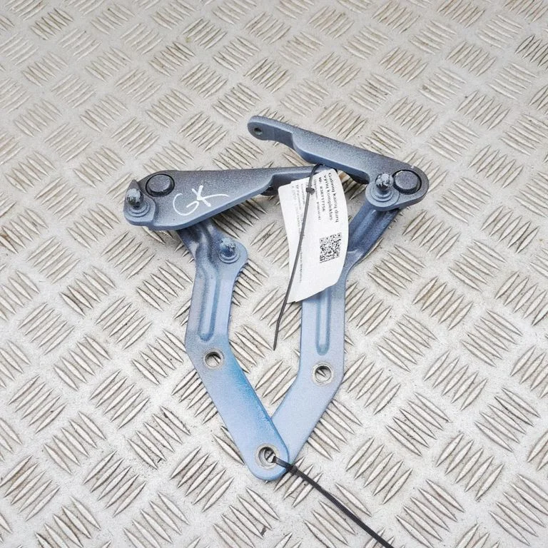 Rear door hinge set 103266700L
