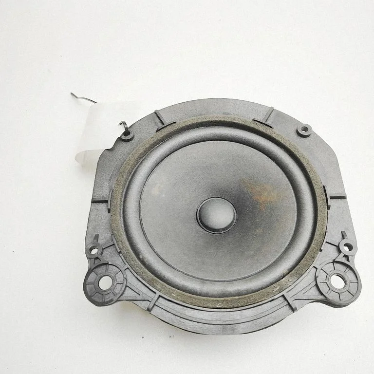 Rear door speaker 105070900B