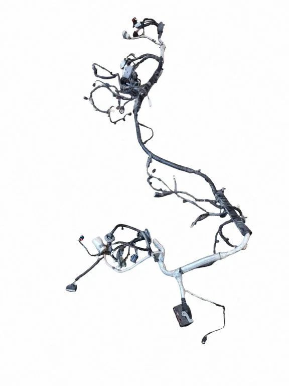 Mootori juhtmestik PR3T14290