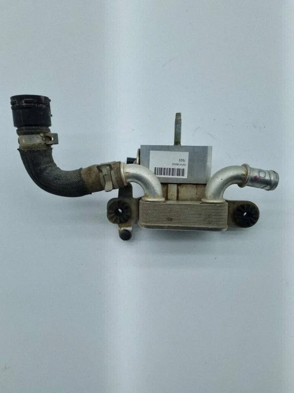 Elektromobilio variklio aušintuvas