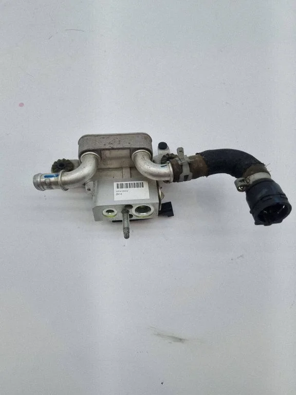 Elektromobilio variklio aušintuvas