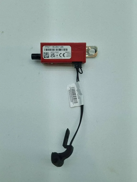 Sensor – Ford Mustang Mach-E (2020-)