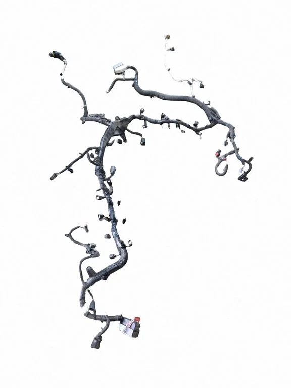 Mootori juhtmestik P6843051