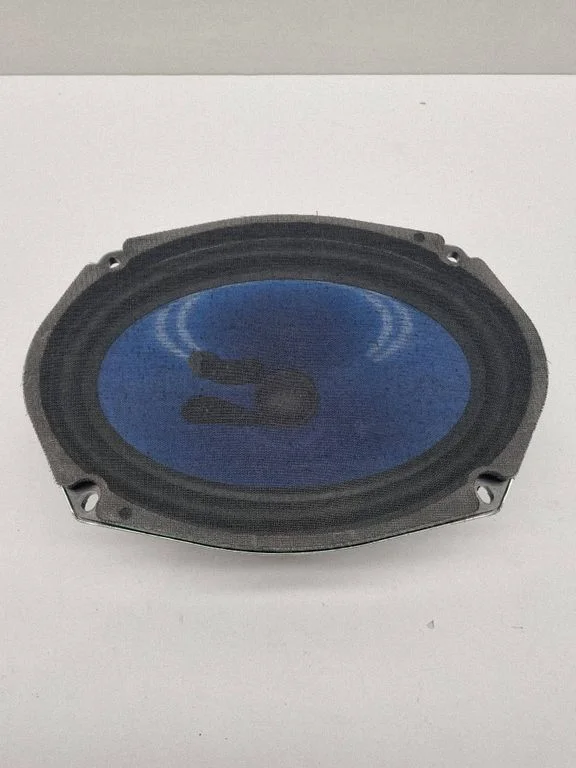Front door speaker