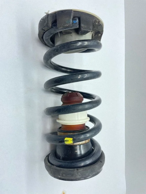 Rear coil spring