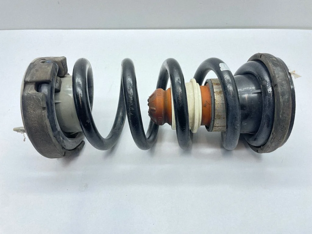 Rear coil spring