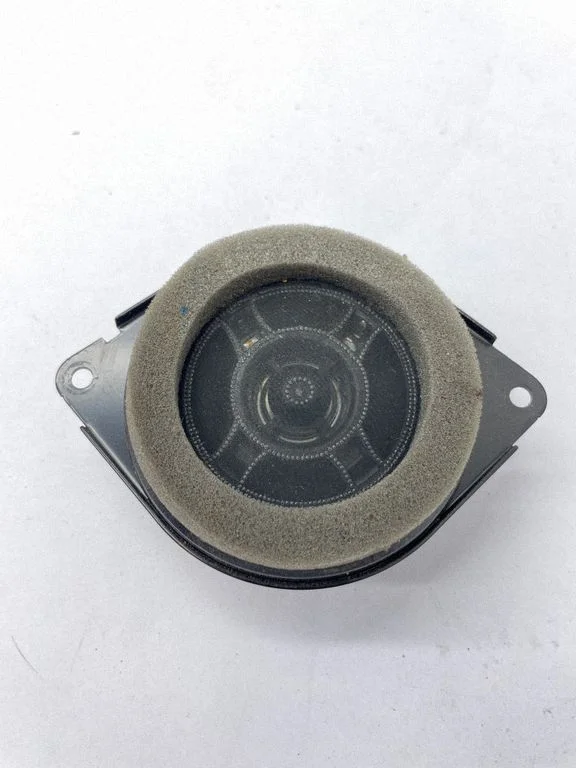 Front door high frequency speaker