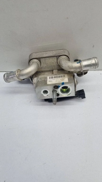 Elektromobilio variklio aušintuvas