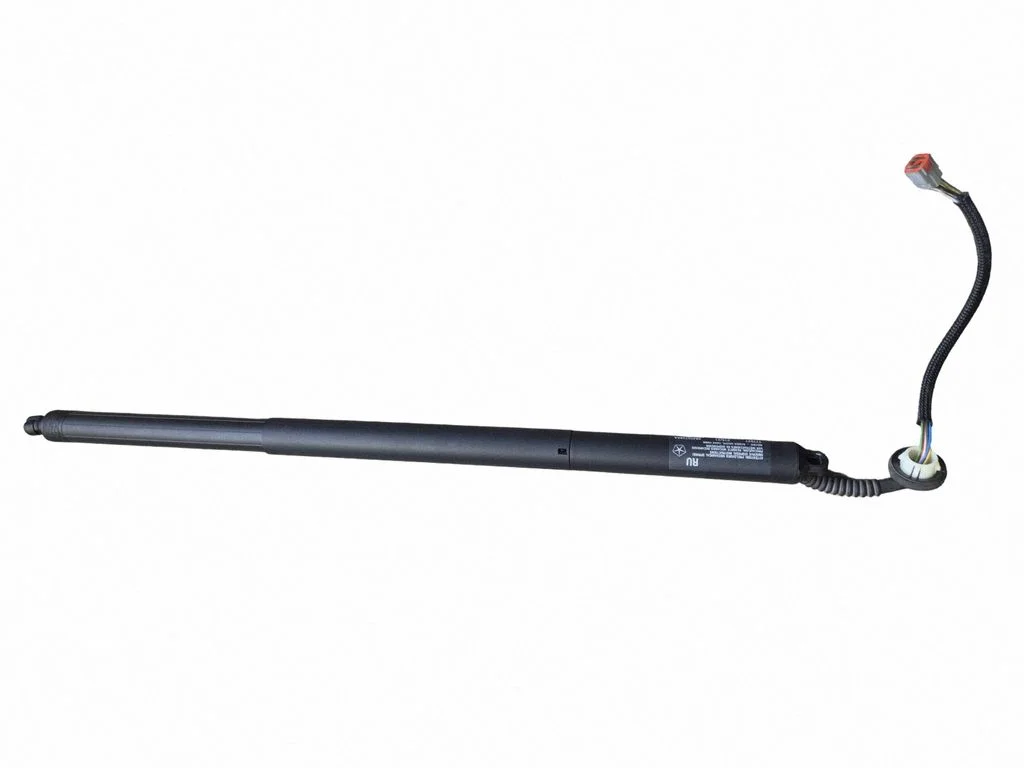 Tailgate/trunk strut/damper – Chrysler Pacifica (2017-)
