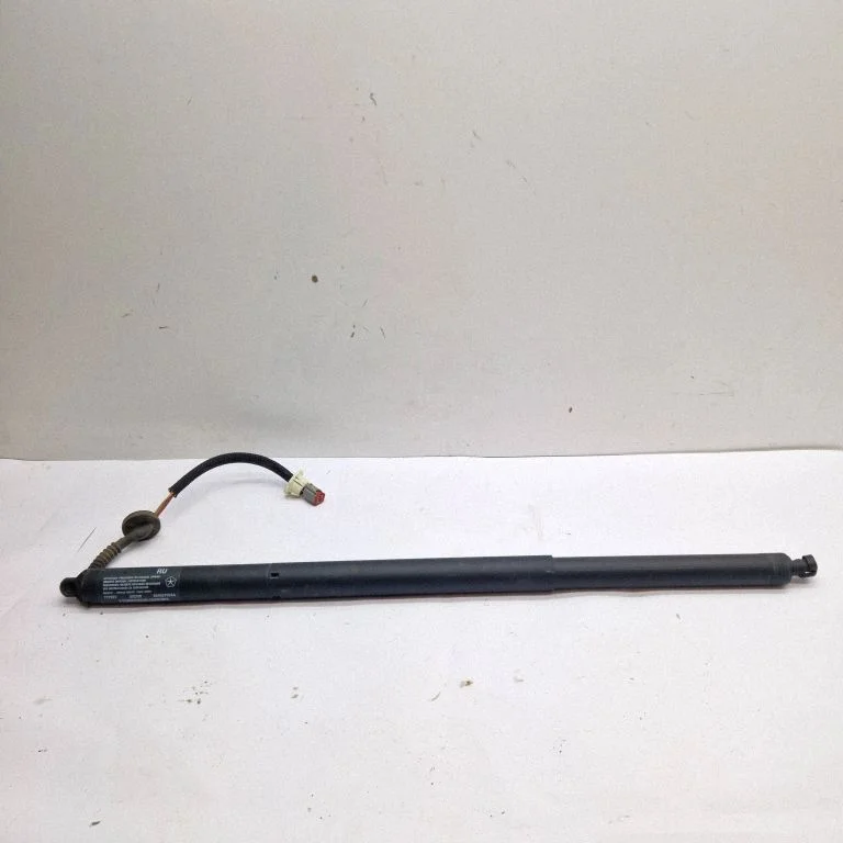 Tailgate/trunk strut/damper – Chrysler Pacifica (2017-)