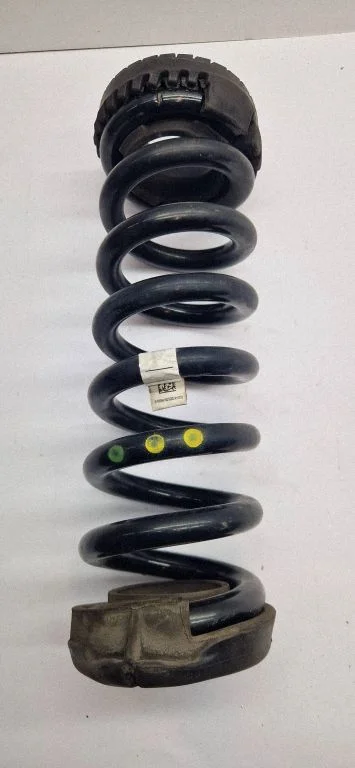 Rear coil spring 06700059410