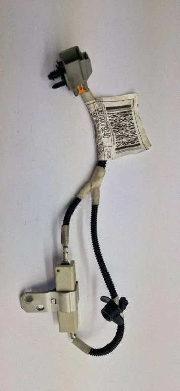 Other wiring loom 06700079240