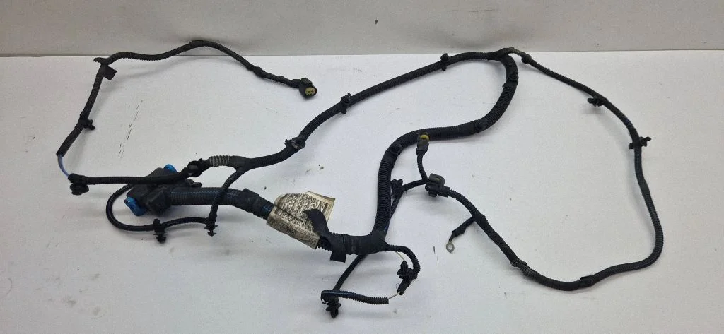 Other wiring loom 06701062820