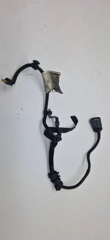 Other wiring loom 06700378650