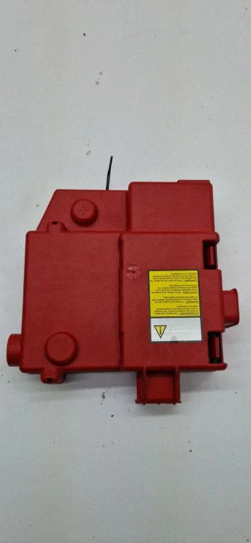 Positive wiring loom 06700020290