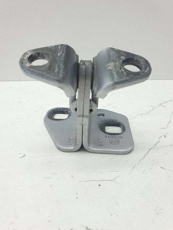Rear door lower hinge 1120071