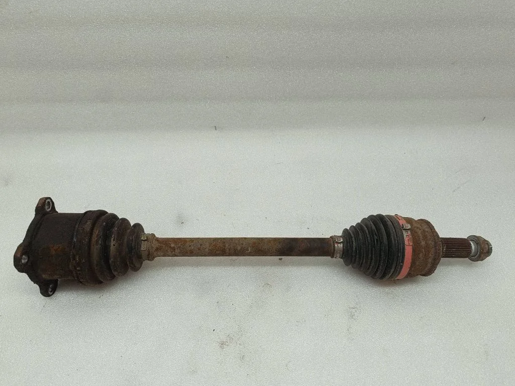 Aizmugurējā pusass – kreisā