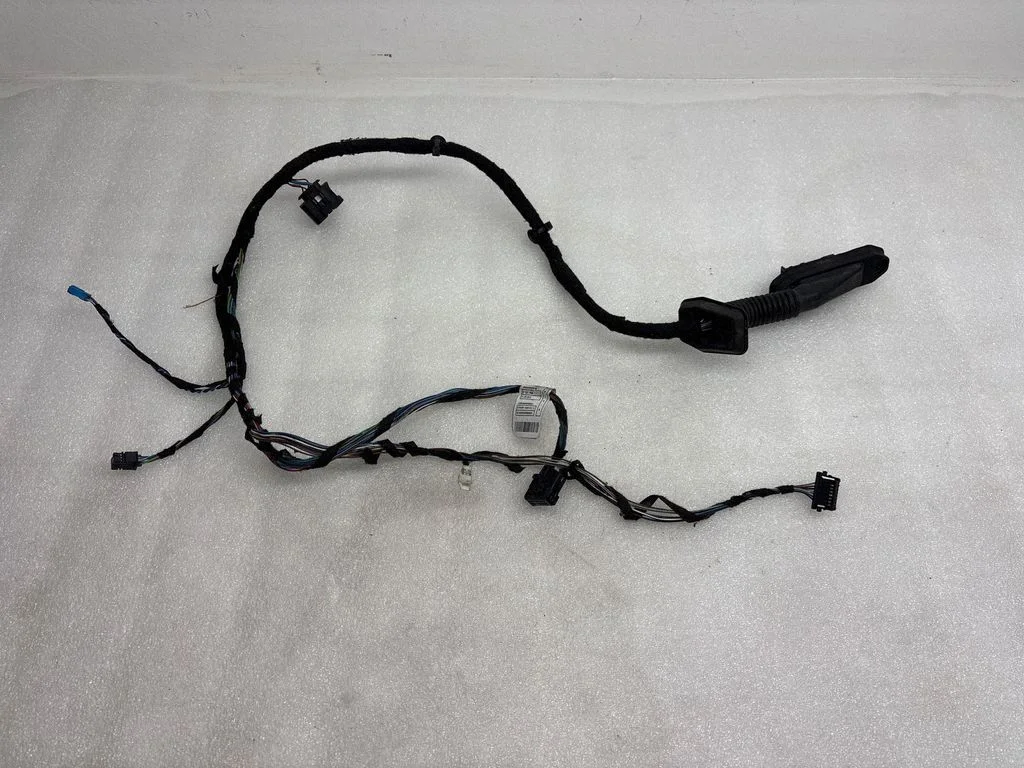 Front door wiring loom 6925548