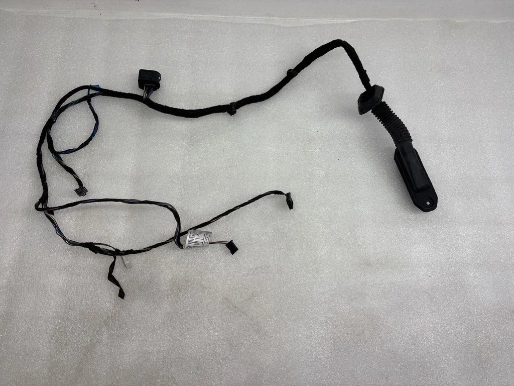 Front door wiring loom 6925548