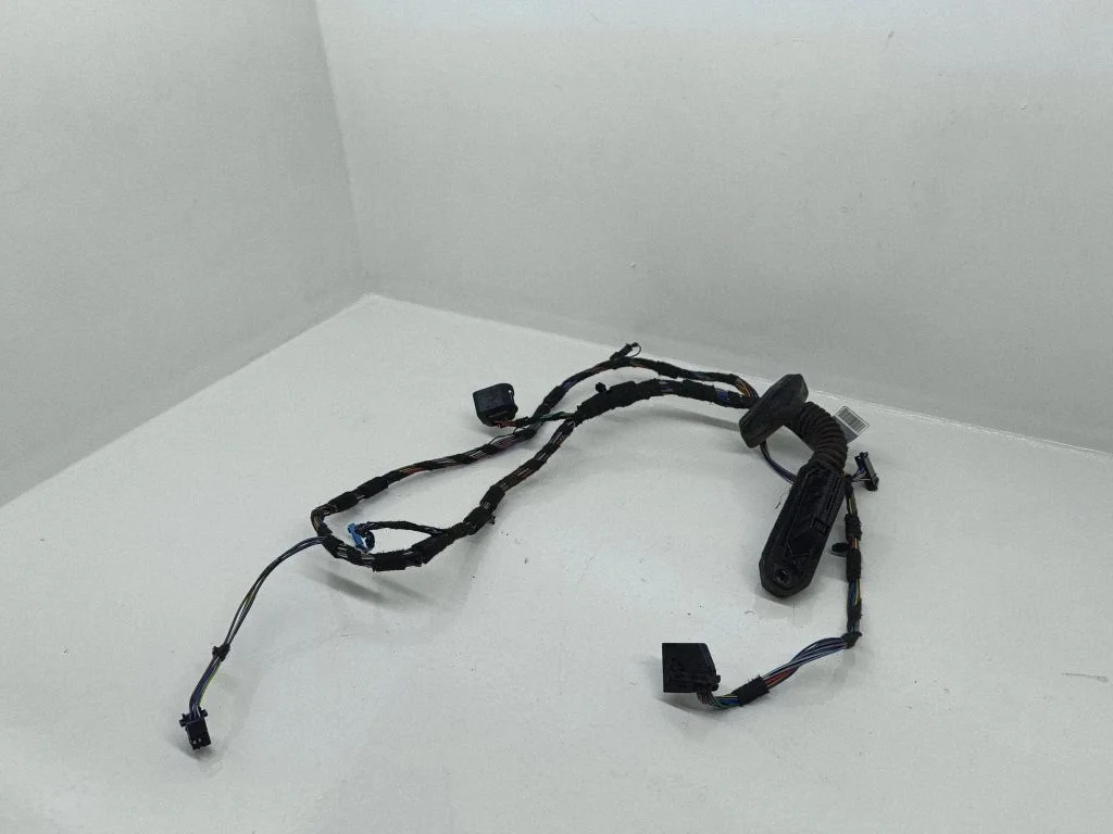 Front door wiring loom