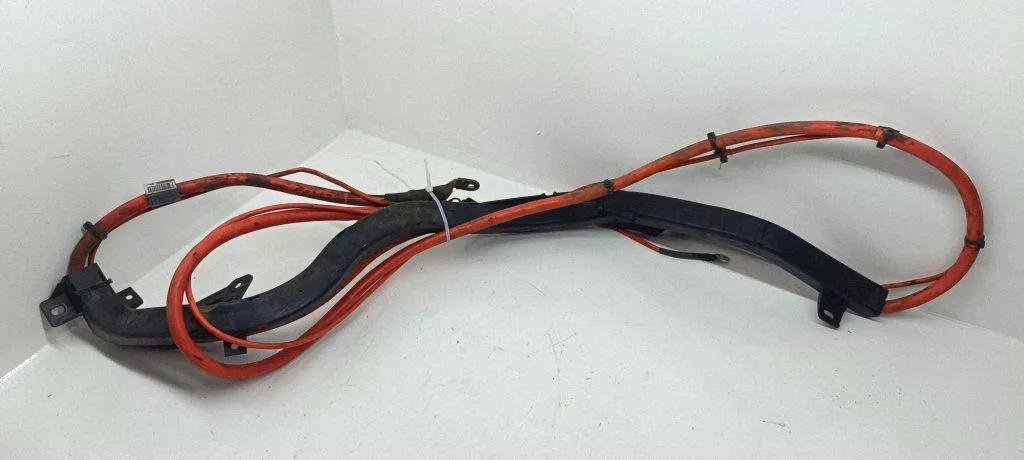 Positive wiring loom 15974510