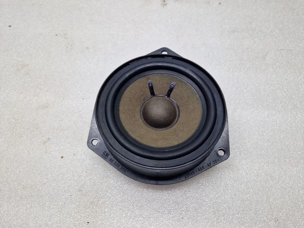 Rear door speaker 6907906
