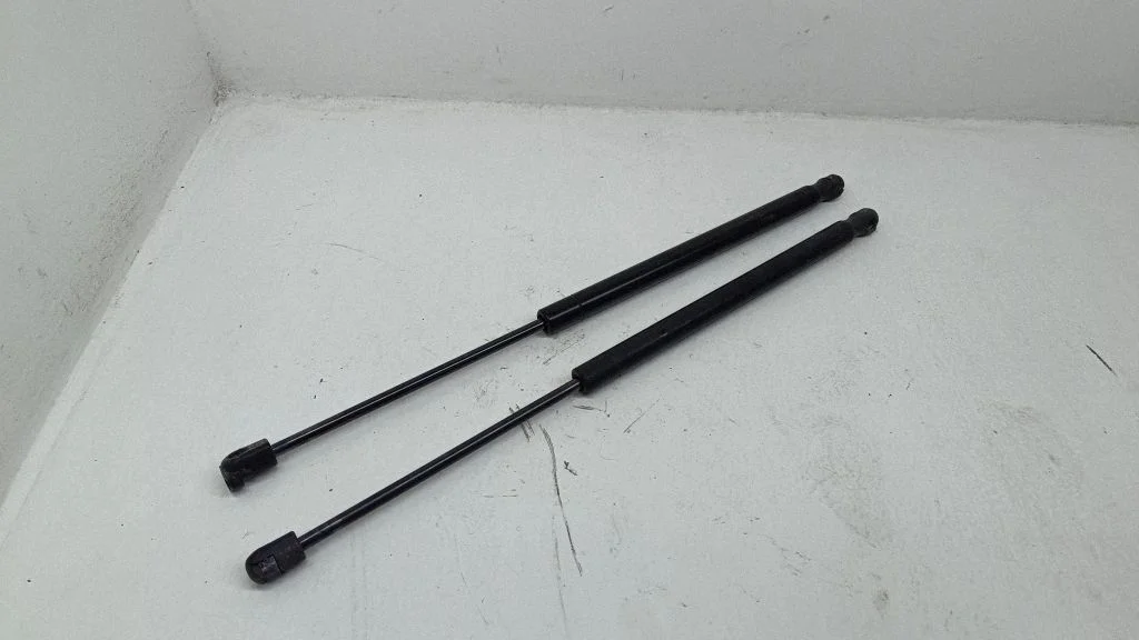 Tailgate/trunk strut/damper 44831a