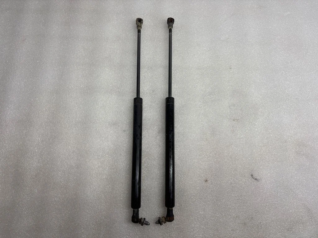 Tailgate/trunk strut/damper