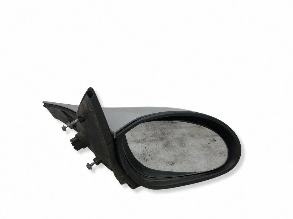 Front door electric wing mirror E1020446