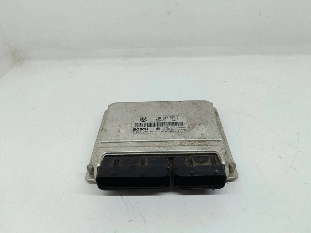 Dzinēja vadības bloks – Volkswagen Passat B5.5 (2001-2005)