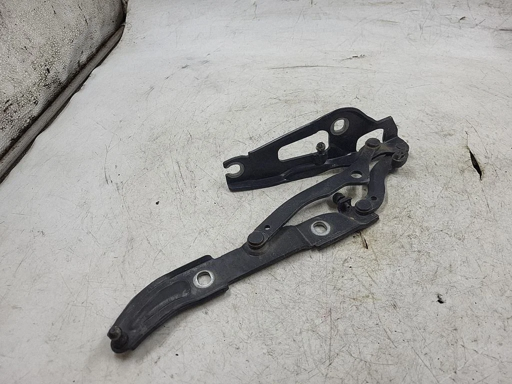 Tailgate/trunk/boot hinge – rear left