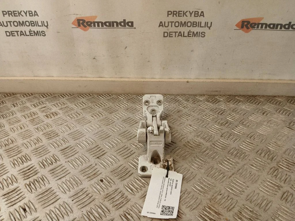 Galinis apatinis vyris