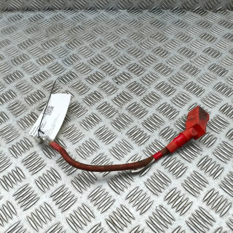 Plusa vads (akumulatora) 106797100D