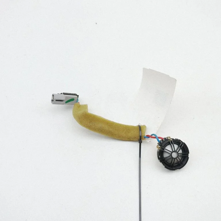 Front door speaker BJ3218808AC