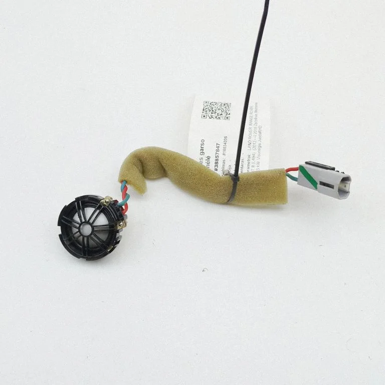 Rear door speaker BJ3218808AC