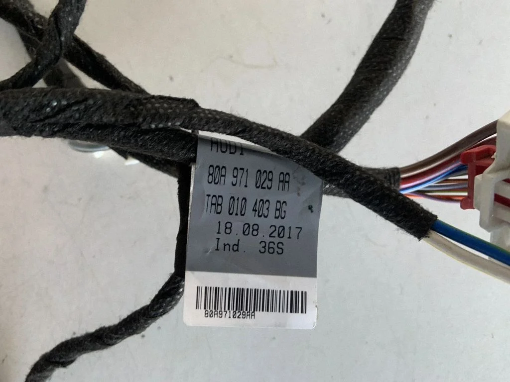 Priekšējo durvju vadu instalācija 80A971029AA