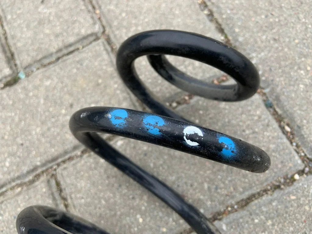 Rear coil spring