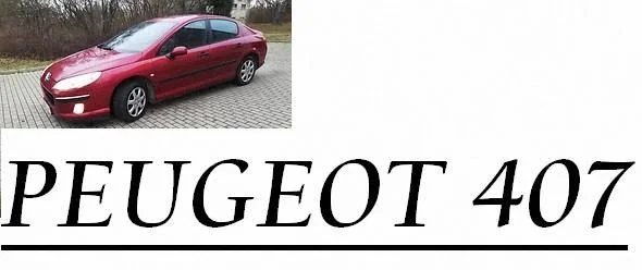 Peugeot 407