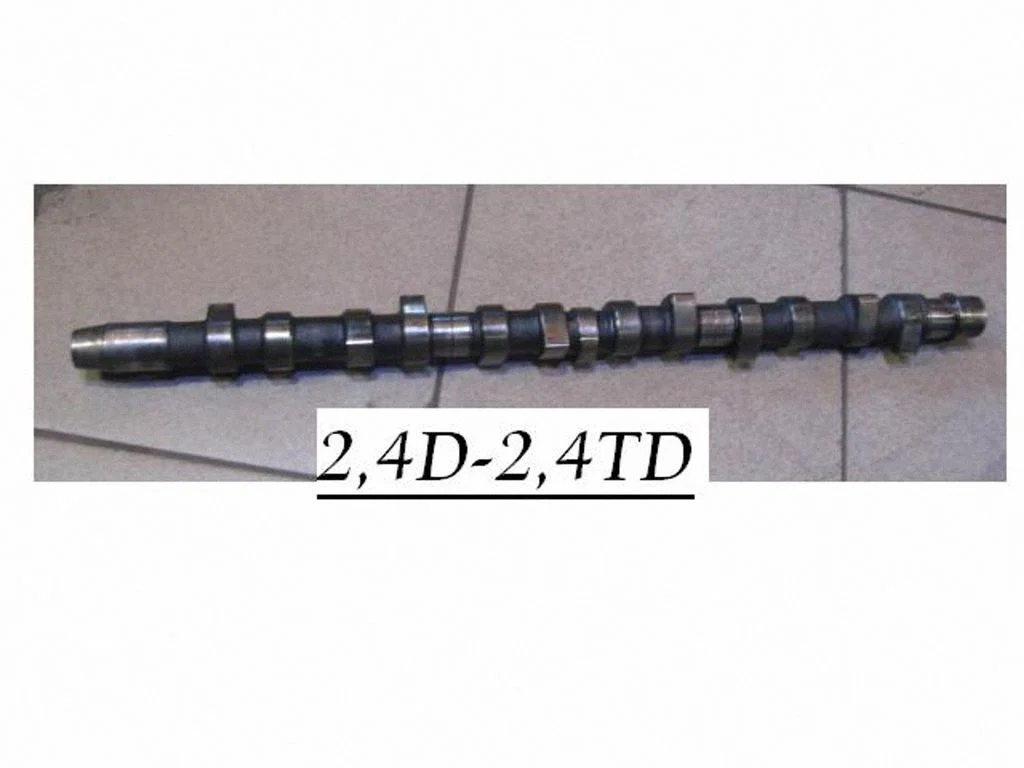 Sadales vārpsta 072C