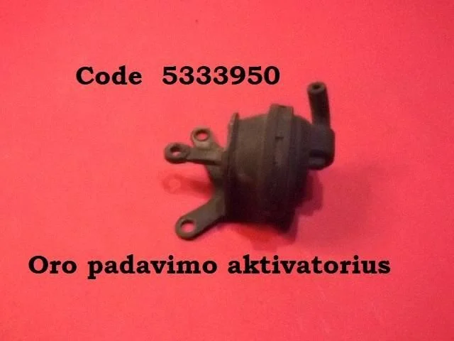 Vacuum valve 5333950