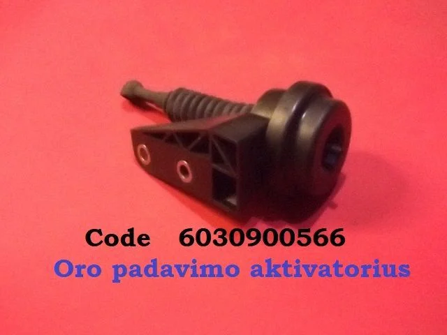 Vacuum valve 6030900566